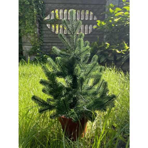 Ёлка Traditional литая в горшке 50 см зелёная новинка | Зображення 8