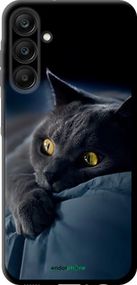 Чохол на Samsung Galaxy A25 5G Димчастий кіт "825b-3495-2448"