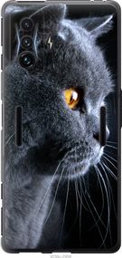 Чехол на Xiaomi Poco F4 GT Красивый кот "3038u-2958-17620"