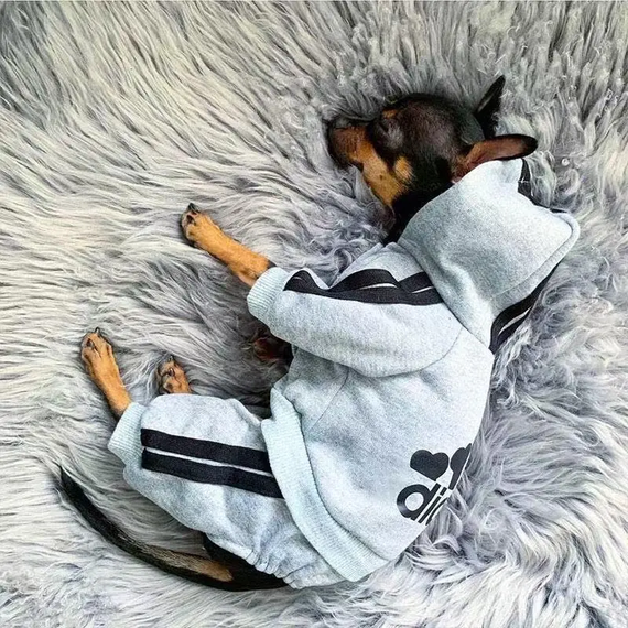 Костюм спортивний для собак Adidog Cірий XXL | Зображення 2