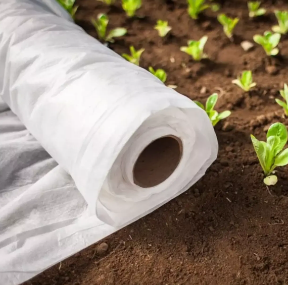 Спанбонд 23 г/м2 8,5 х 100м.білий "Shadow" (Чехія) 4% агроволокно  для розсади ,газону, гортензій | Зображення 4