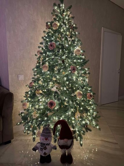 Гірлянда Роса 1500 LED 150 м з пультом, зелений, теплий XPRO (47726-719_800) | Зображення 4