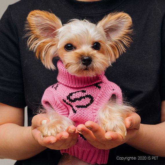 Свитер для собак Is Pet FAMILY LOOK без рукавов с надписями FOR YOU, розовый | Зображення 2