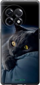 Чохол на OnePlus Ace 2 5G Димчастий кіт "825u-4043-2448"