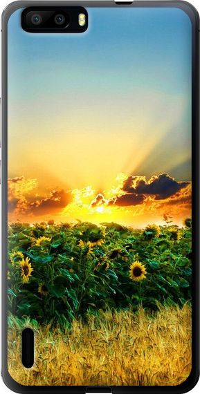 Чехол на Huawei Honor 6 Plus Украина "1601u-179-17620"