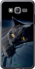 Чохол на Samsung Galaxy Grand Prime G530H Димчастий кіт "825t-74-2448"