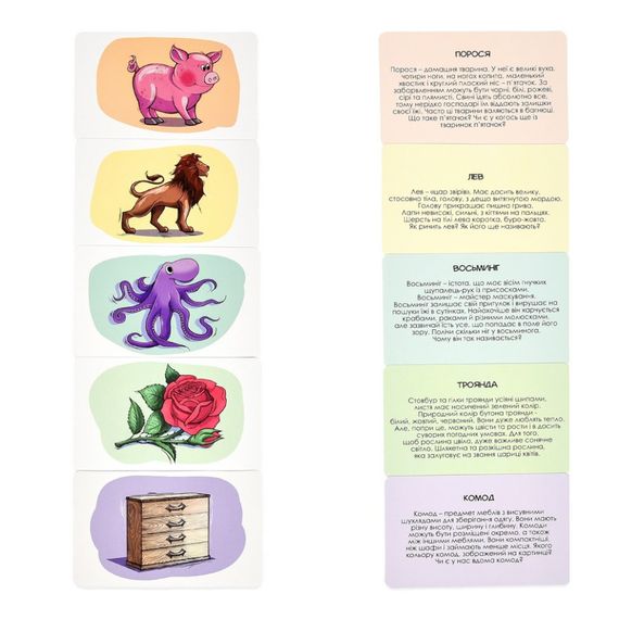 Настільна гра "Розумна валіза. Світ навколо" 30984, 80 різних карток | Зображення 3