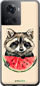 Чохол на OnePlus 10R Єнотик з кавуном "4605u-2627-2448"