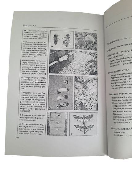 Книга “Хвороби бджіл” Фрідріх Поль | Зображення 3