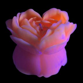 Свеча люминисцентная низкотемпературная GlowKink персиковая, М Sex Aura