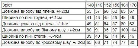 Піжама для хлопчика (підліткова) Носи своє 140 Бірюзовий (p-15464-176982) | Зображення 2