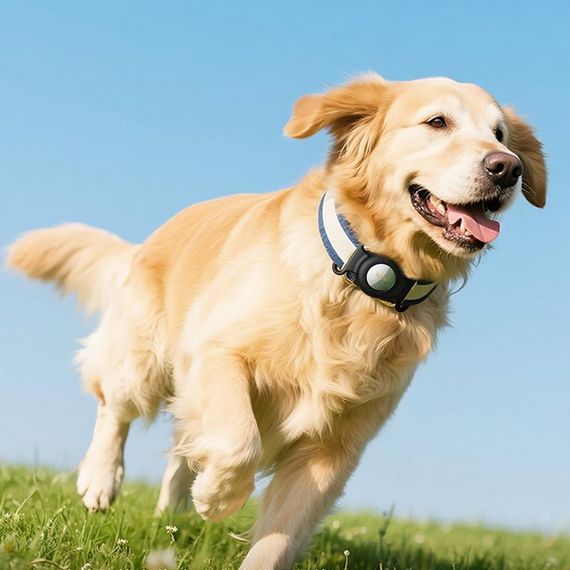 Трекер Hoco E91C Tiger для ошейника 230 mAh White | Зображення 4