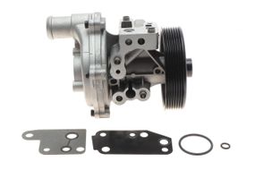 Помпа води Ford Transit VIII 2.4TDCi RWD 06-14 R B  8 лоп.  7 кан.  з корпусом  PA1100