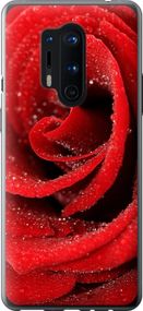 Чехол на OnePlus 8 Pro Красная роза "529u-1896-17620"