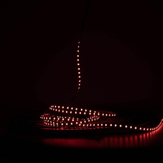 Світлодіодна LED стрічка PROLUM™ 24V IP20 2835\120 6ММ S-TYPE Series "S" Червоний | Зображення 1