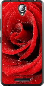 Чехол на Lenovo A5000 Красная роза "529u-119-17620"