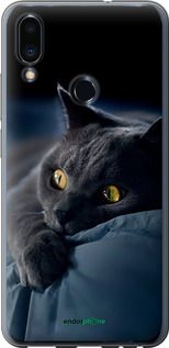 Чохол на Meizu Note 9 Димчастий кіт "825t-1689-2448"