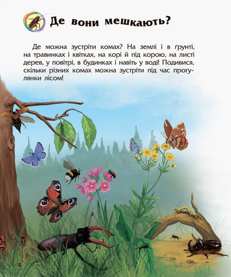 Детская энциклопедия про насекомых 614014 для дошкольников | Зображення 4