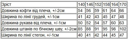 Утеплена піжама для хлопчика (штани+кофта) з принтом Носи своє 164 Темно-синій (p-16102-212187) | Зображення 3