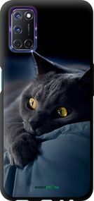 Чохол на Oppo A72 Димчастий кіт "825b-2011-2448"