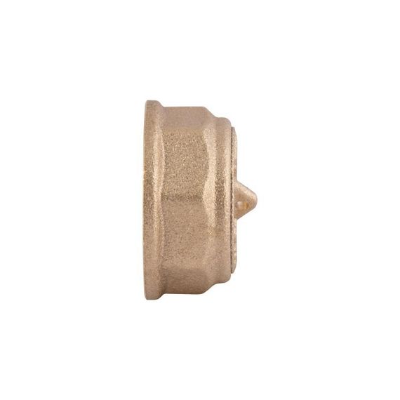 Заглушка Thermo Alliance Standart 3/4" ВР SD40220 | Зображення 2