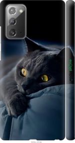 Чохол на Samsung Galaxy Note 20 Димчастий кіт "825m-2036-2448"