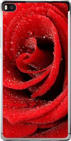 Чехол на Huawei Ascend P8 Красная роза "529u-123-17620"