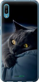 Чохол на Huawei Y6 2019 Димчастий кіт "825u-1666-2448"