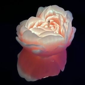 Свеча люминисцентная низкотемпературная GlowKink оранжевая, М sexstyle