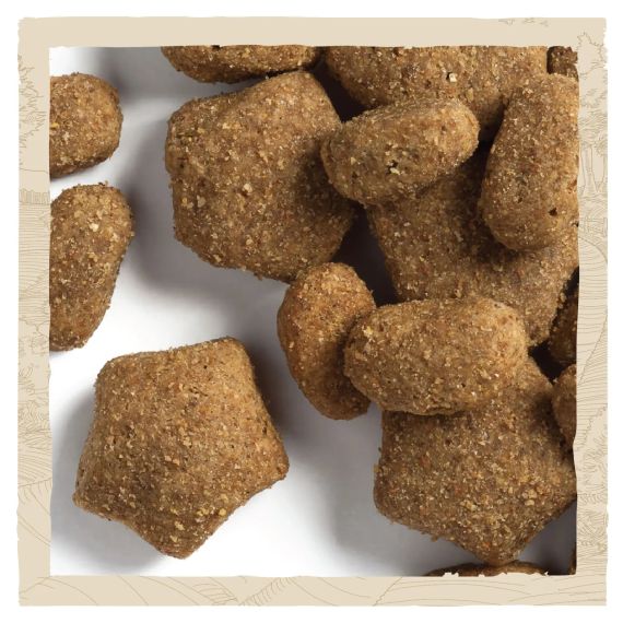 Сухий корм Dog Chow для дорослих, активних робочих собак із куркою 14 кг | Зображення 5