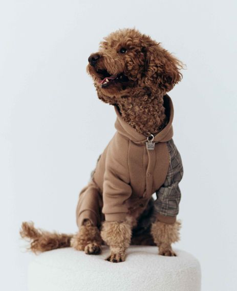 Костюм з клiтинкою беж D-182 | Зображення 1