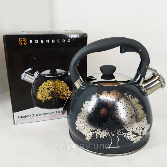 Чайник із свистком Edenberg EB-1956 2л чайник із нержавіючої сталі для всіх видів плит Black Silver | Зображення 4