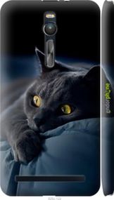 Чохол на Asus Zenfone 2 ZE551ML Димчастий кіт "825m-122-2448"
