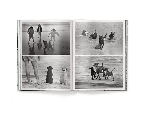 Работы известных фотографов книга Эллиотта Эрвитта с фотографиями собак Elliott Erwitt: Dogs (компактная) | Зображення 9