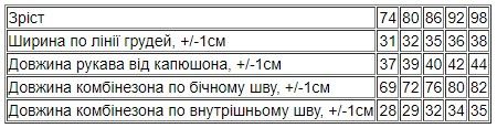 Комбінезон для дівчинки (зима) | Зображення 3