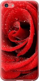 Чехол на iPhone 5c Красная роза "529u-23-17620"