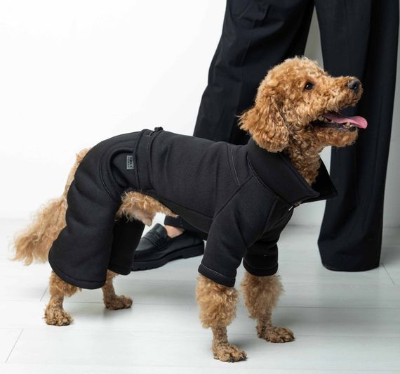 Костюм Party чорний D-198 | Зображення 1