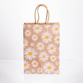 Набір подарункових крафтових пакетів з паперу 12 (шт.) гарні пакети для подарунків 15×8×21 (см) HP-10359-6W