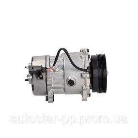 Компрессор кондиционера Audi A3, TT; Ford Escort, Galaxy; Mercedes W638; Seat Alhambra, Cordoba, Ibiza