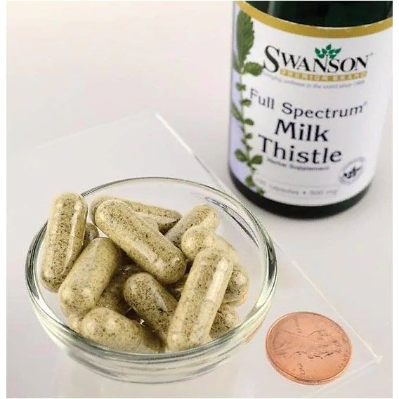 Розторопша Swanson Milk Thistle 500 mg 100 Caps SWA-01966 | Зображення 1