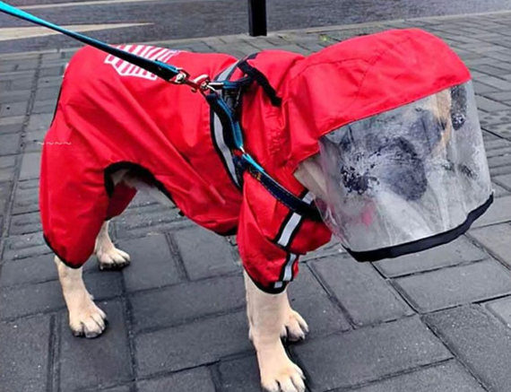 Дождевик для собак с капюшоном dog face  красный M размер | Зображення 1