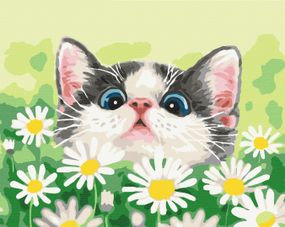 Котик в ромашках
