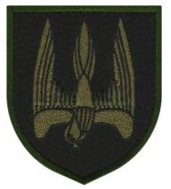 Шеврон "Донбасс" (черный)