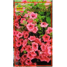 Насіння Петунія Троянда небес 0,05 г (500 шт.)