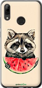 Чохол на Huawei P Smart 2019 Єнотик з кавуном "4605t-1634-2448"