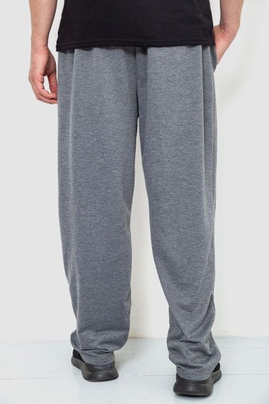 Спорт штани чоловічі, колір сірий, 244R10018 | Зображення 3