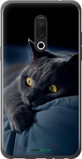 Чохол на Meizu 15 Димчастий кіт "825u-1472-2448"