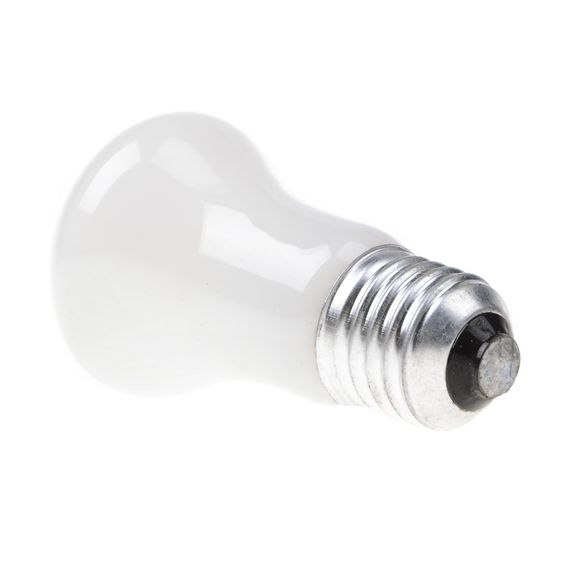 Лампа накаливания декоративная 60W E27 WW E50 220V | Зображення 2