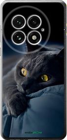 Чохол на OnePlus 13 5G Димчастий кіт "825u-3875-2448"