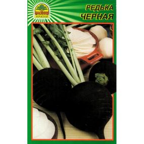 Насіння Редька чорна зимова 20 г (Насіння країни)